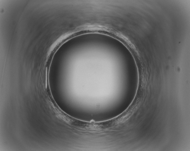 X0000086341175200703301248