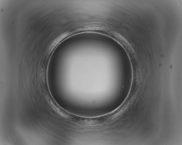 X0000086341177200703301248