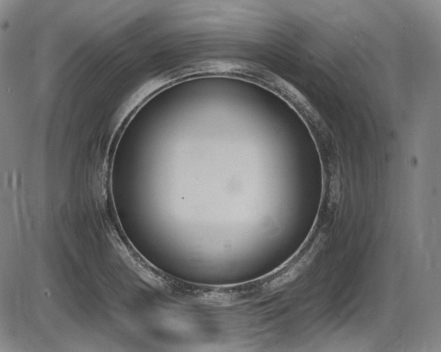 X0000086341178200703301248