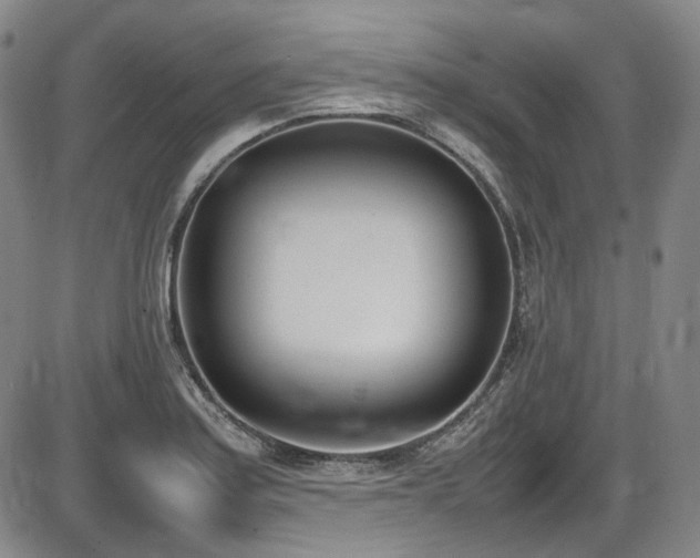 X0000086341179200703301248