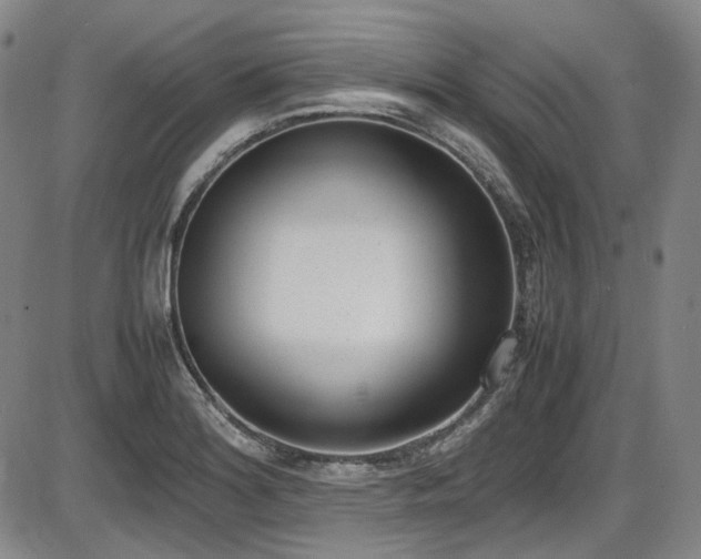 X0000086341180200703301248