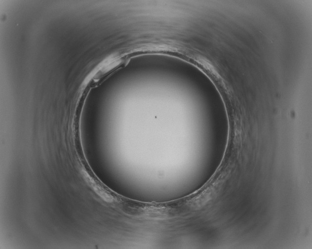 X0000086341181200703301248