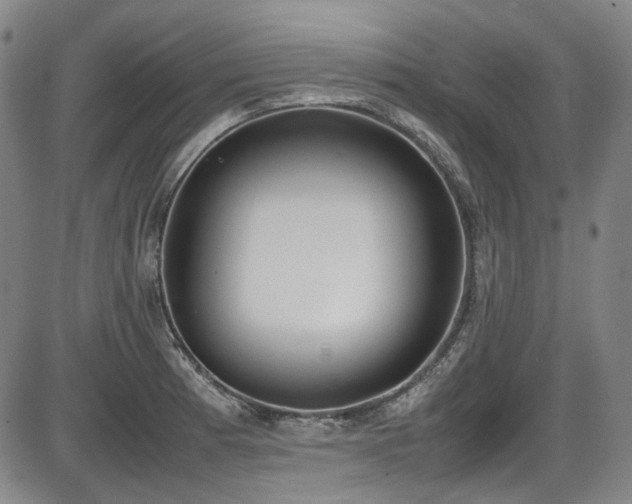 X0000086341185200703301248