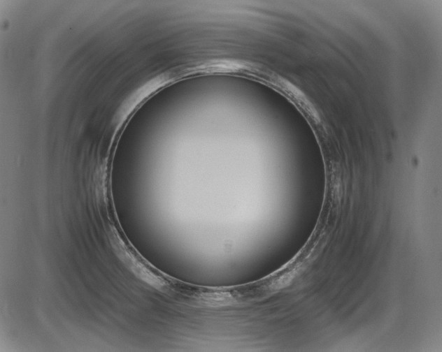 X0000086341186200703301248