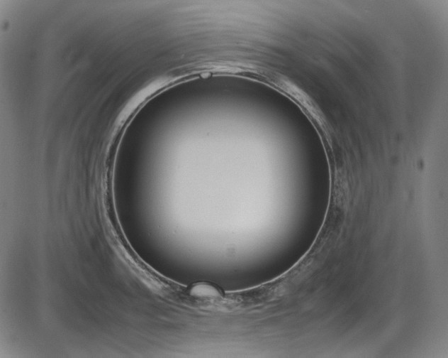 X0000086341187200703301248