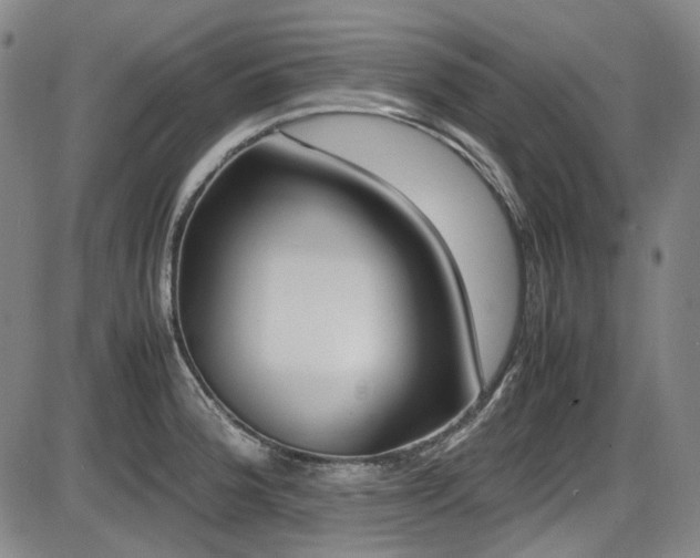 X0000086341188200703301248