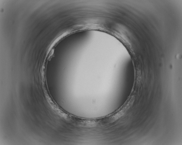 X0000086341190200703301248