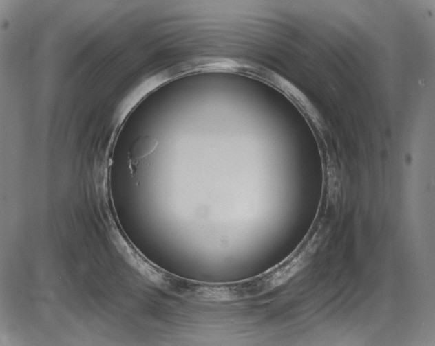 X0000086341194200703301247
