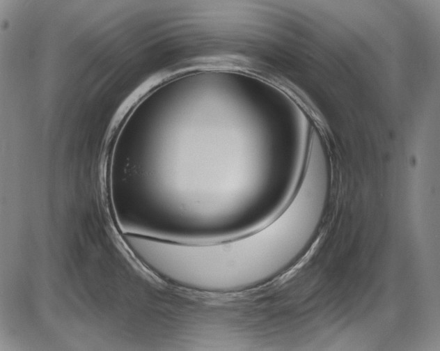 X0000086341196200703301247