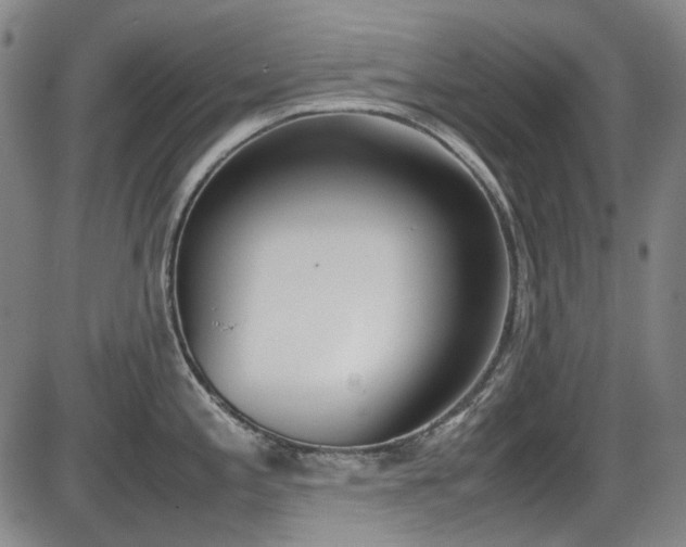 X0000086341197200703301247