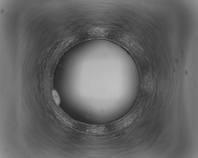 X0000086341201200703301247