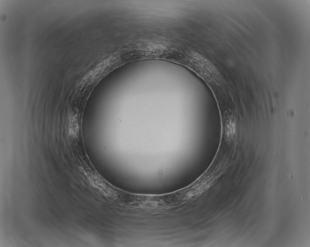 X0000086341204200703301247