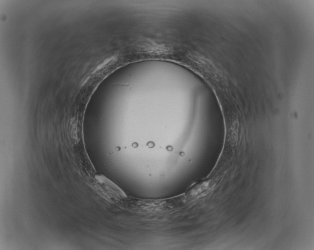 X0000086341205200703301247