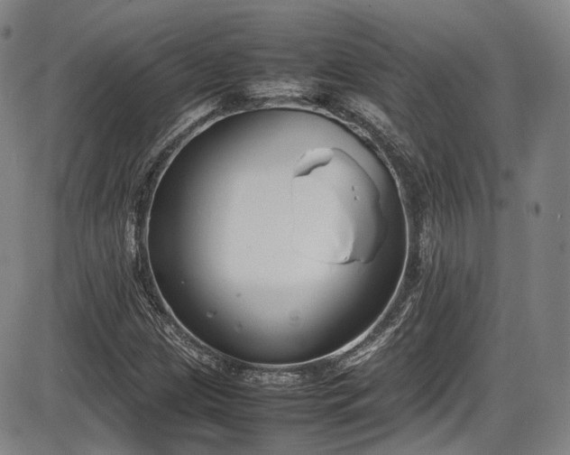 X0000086341209200703301247