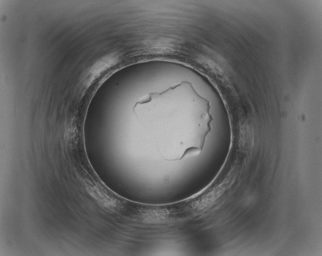 X0000086341210200703301247