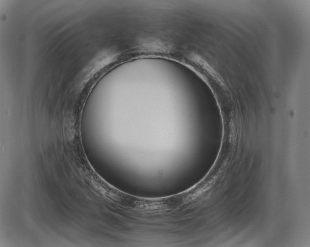 X0000086341213200703301247