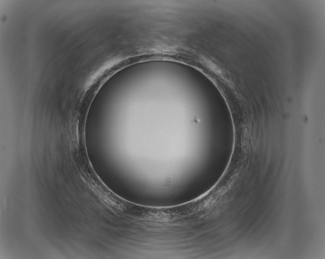 X0000086341214200703301247