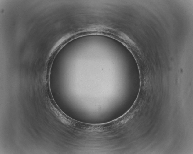 X0000086341216200703301247