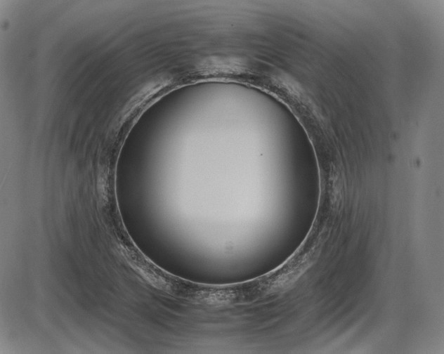 X0000086341217200703301247