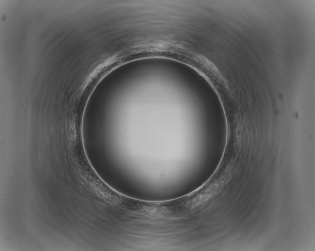 X0000086341218200703301247
