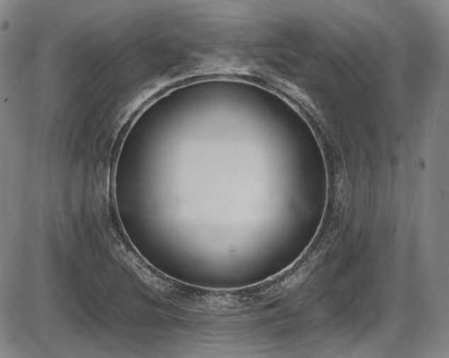 X0000086341220200703301247