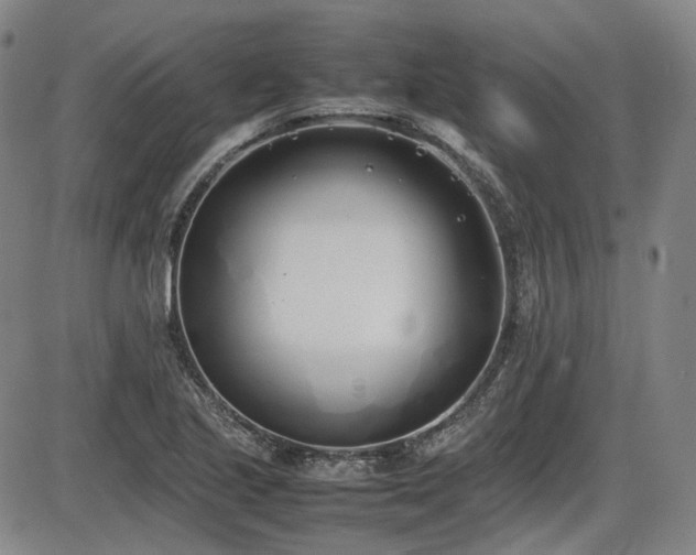 X0000086341221200703301247