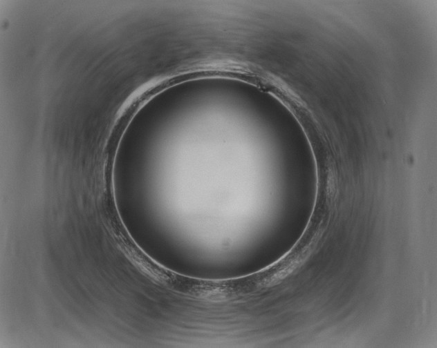 X0000086341222200703301247