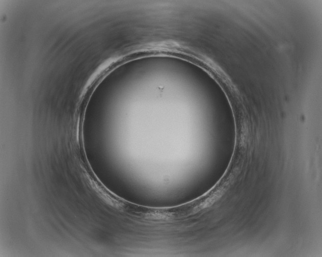 X0000086341224200703301247