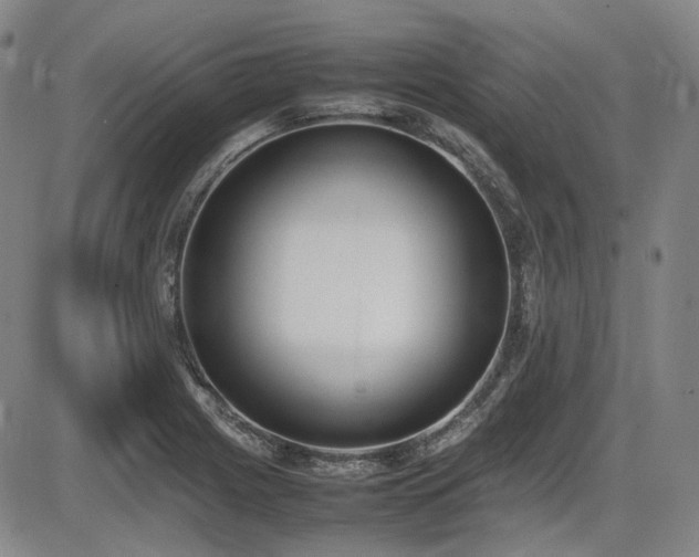 X0000086341225200703301247