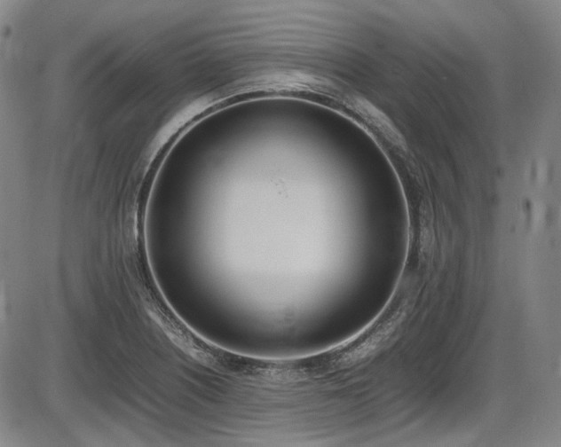 X0000086341226200703301247