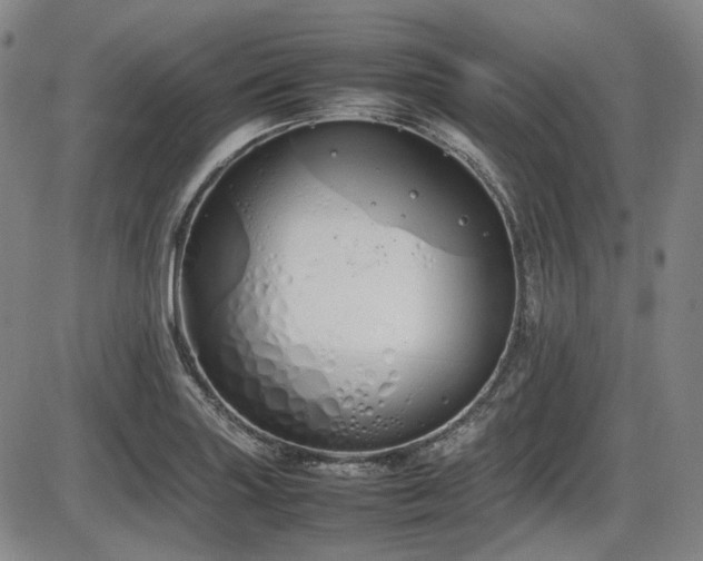X0000086341227200703301247