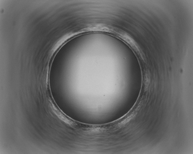 X0000086341228200703301247