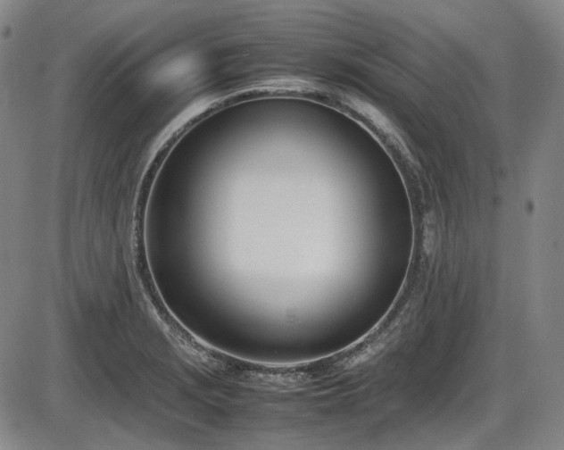 X0000086341229200703301247