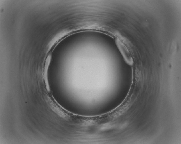 X0000086341230200703301247