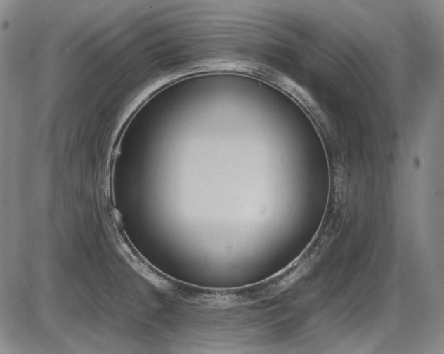 X0000086341236200703301247