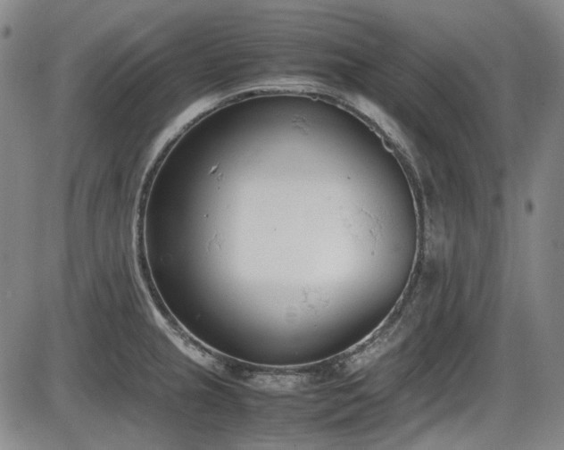 X0000086341237200703301247