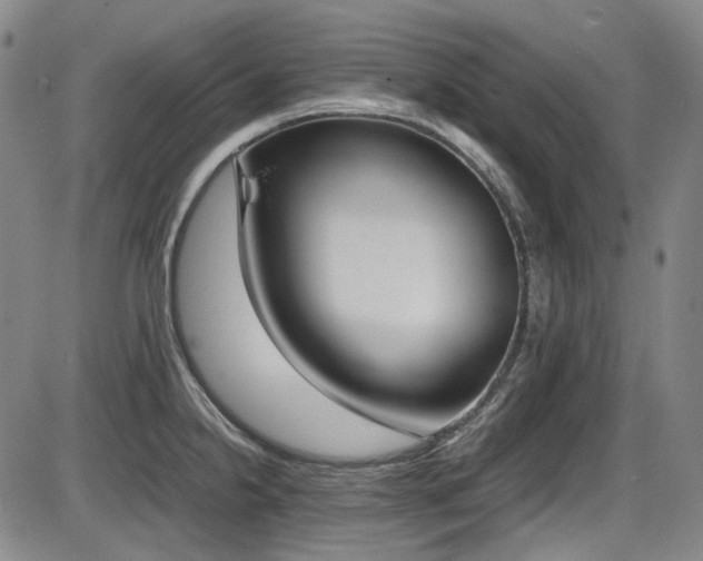 X0000086341238200703301247