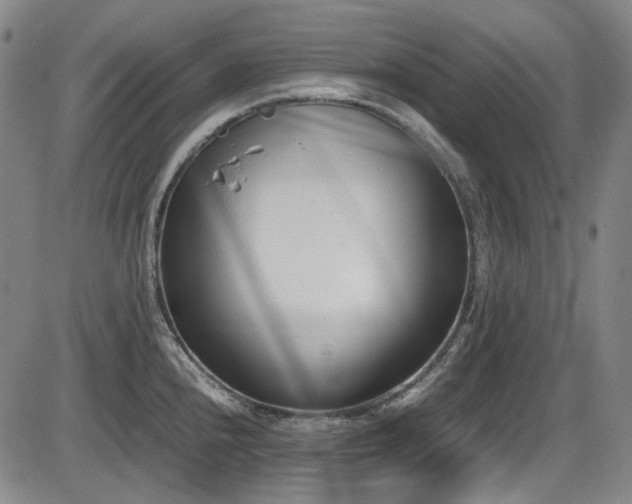 X0000086341240200703301247