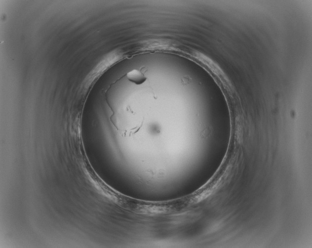 X0000086341241200703301247