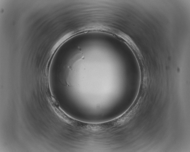 X0000086341242200703301247