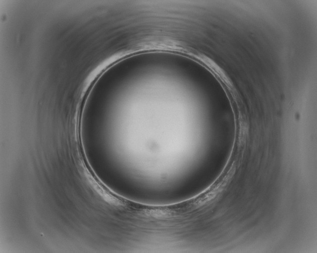 X0000086341246200703301247