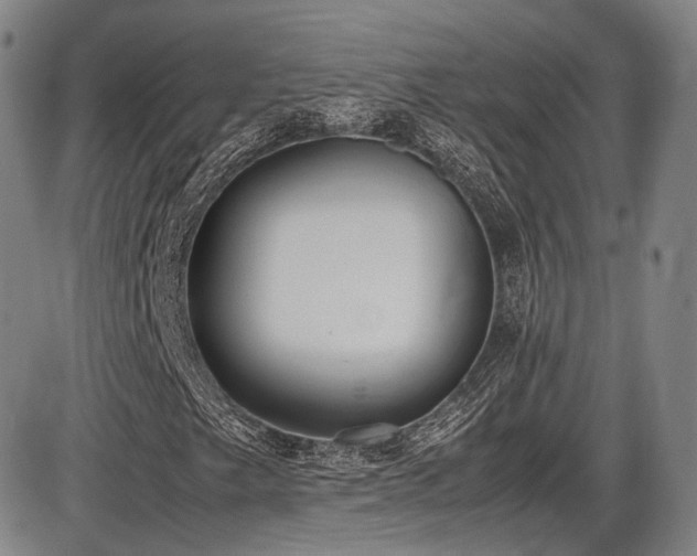 X0000086341249200703301247
