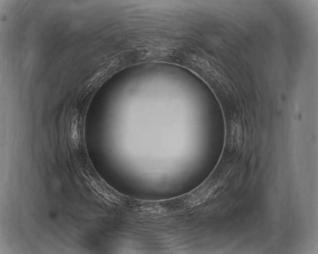 X0000086341250200703301247