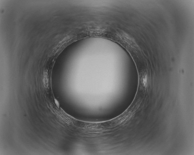 X0000086341252200703301247