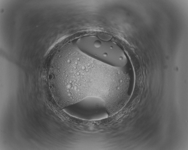 X0000086341255200703301246