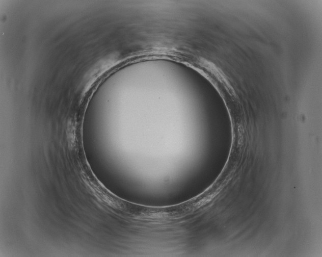 X0000086341260200703301246