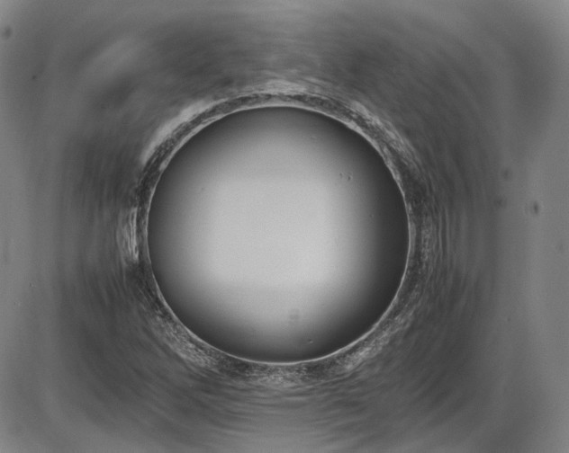 X0000086341262200703301246