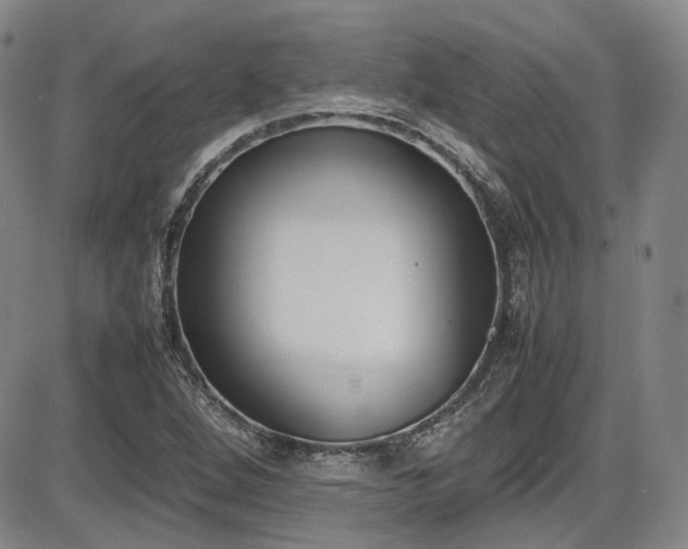 X0000086341264200703301246