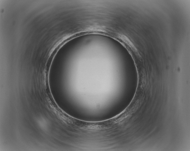 X0000086341268200703301246