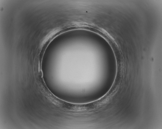 X0000086341269200703301246
